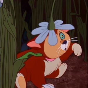 Meet your Posher, Lou